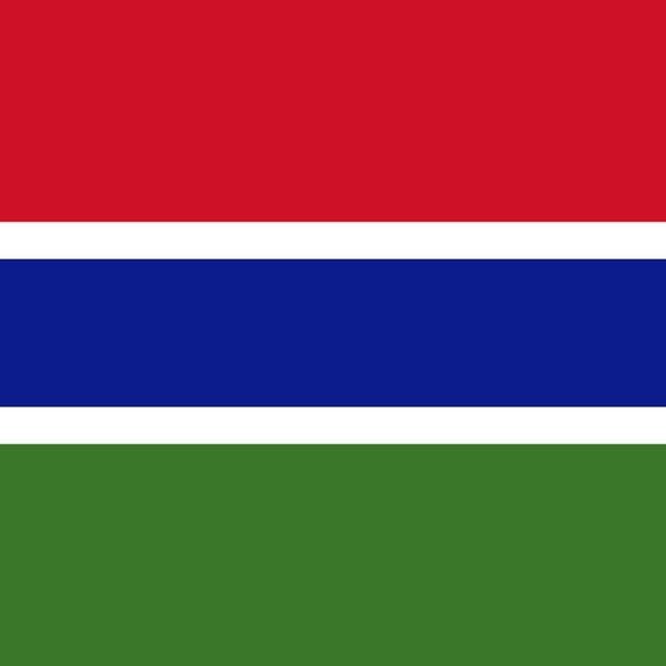 icon for Gambia Presidential Election Winner