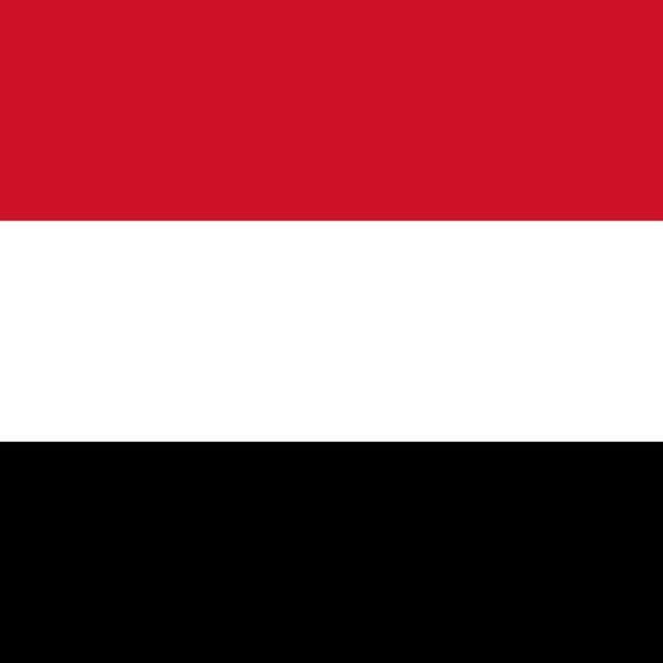 icon for Saudi troops fighting in Yemen by...?