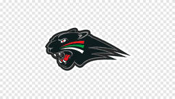 Augsburger Panther