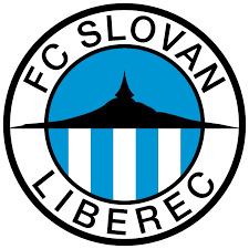 fsl icon