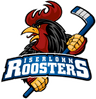 Iserlohn Roosters