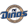 nc icon