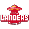 ssg icon