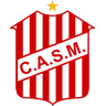 smt icon