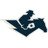 tex icon