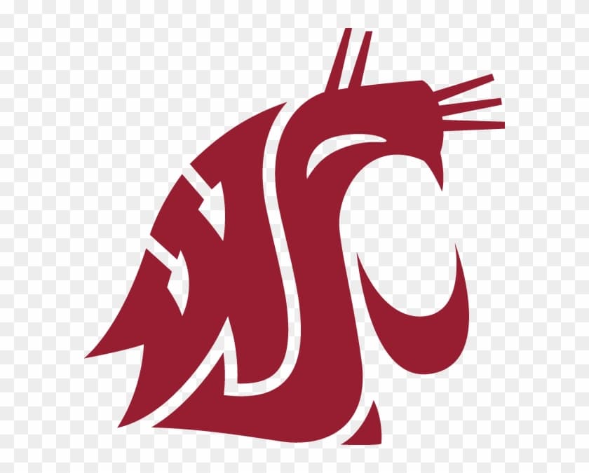 Washington State Cougars