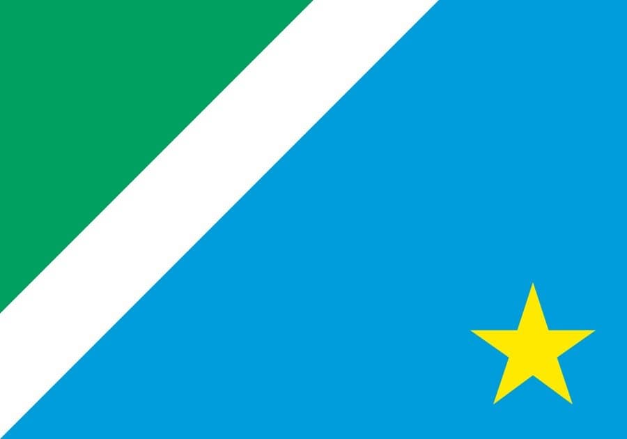 icon for Brazil Presidential Election First Round: 1st Place in Mato Grosso do Sul