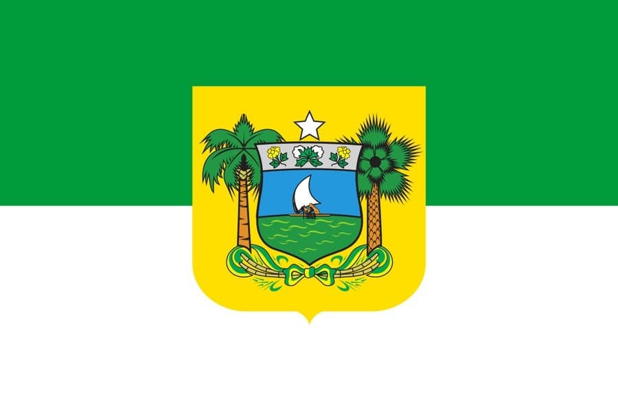 icon for Brazil Presidential Election First Round: 1st Place in Rio Grande do Norte