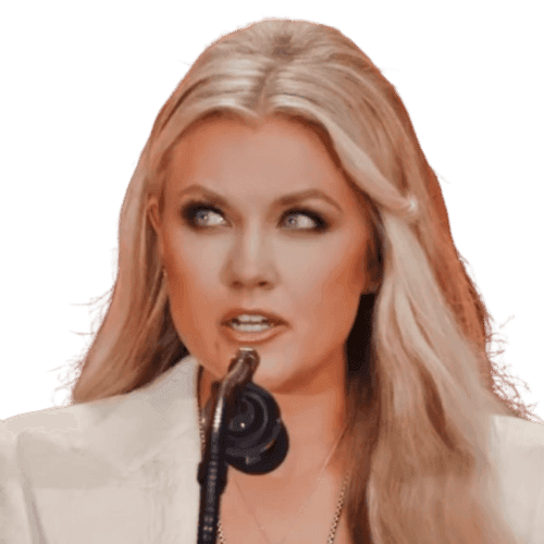 icon for Erika Kirk