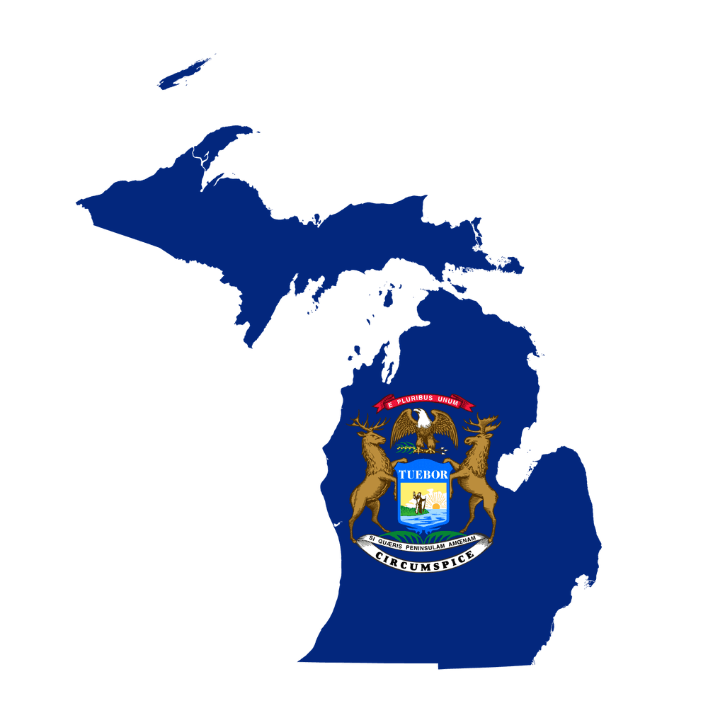 Michigan Senate Election Winner card icon