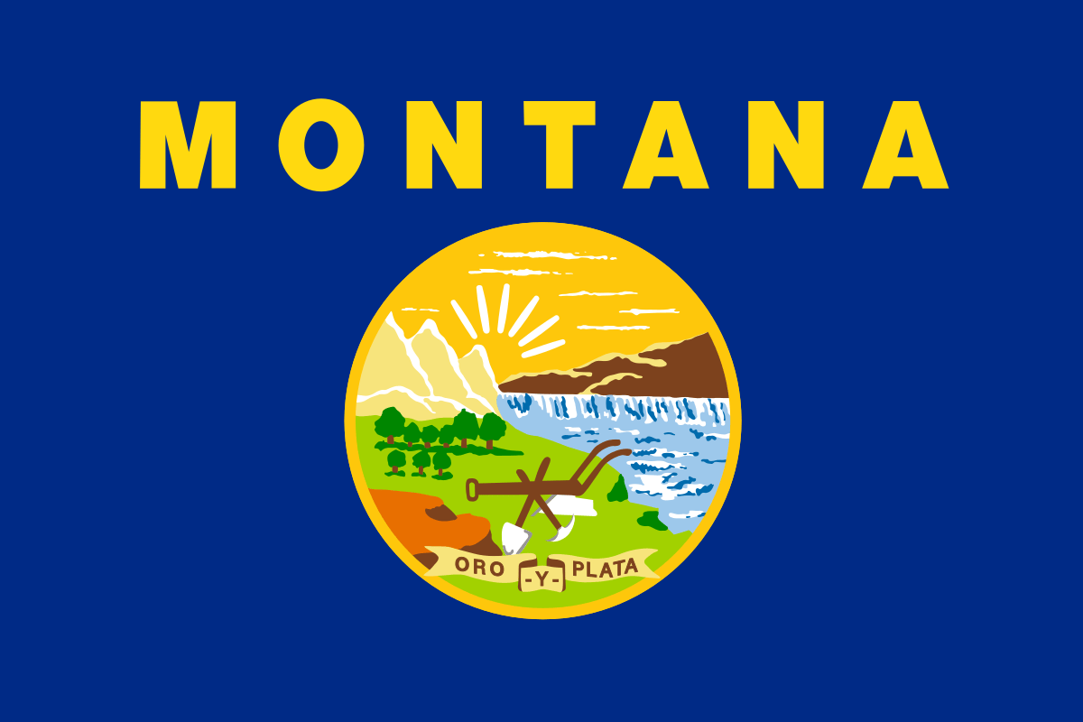 MT-01 House Election Winner
