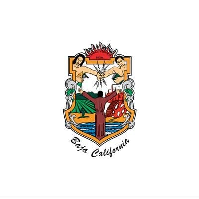Baja California Governor Election Winner - image