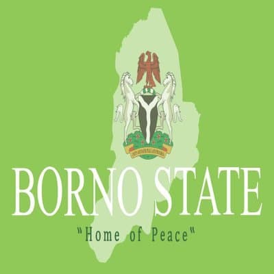 Borno, Nigeria Governor Election Winner
