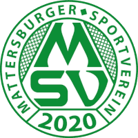 Mattersburger SV 2020