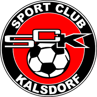 sk icon