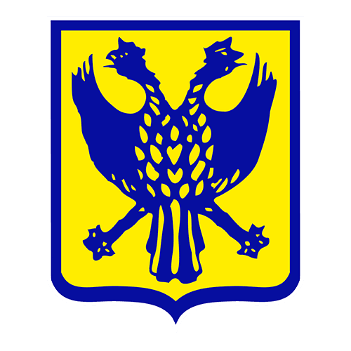 stt icon