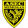ASEC Mimosas
