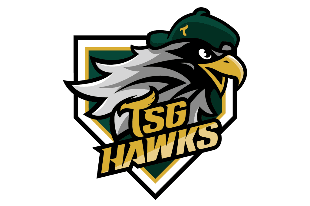 tsg icon