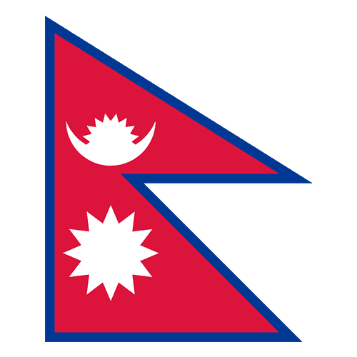 npl icon