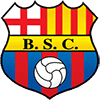 bsc icon