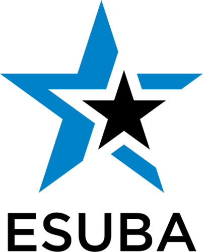 esb icon