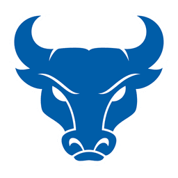Bulls