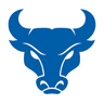 Bulls