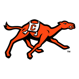 Fighting Camels