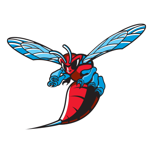 delst icon