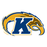 Golden Flashes
