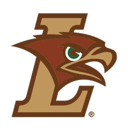 Mountain Hawks