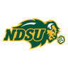 Bison