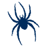 Spiders