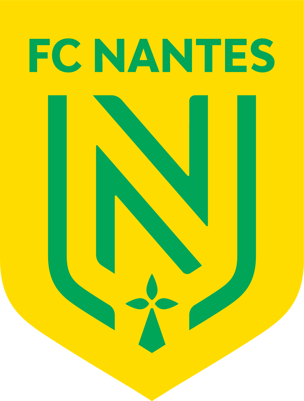 nan icon