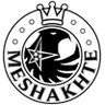 FC Meshakhte Tkibuli