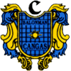 can icon