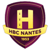 nan icon