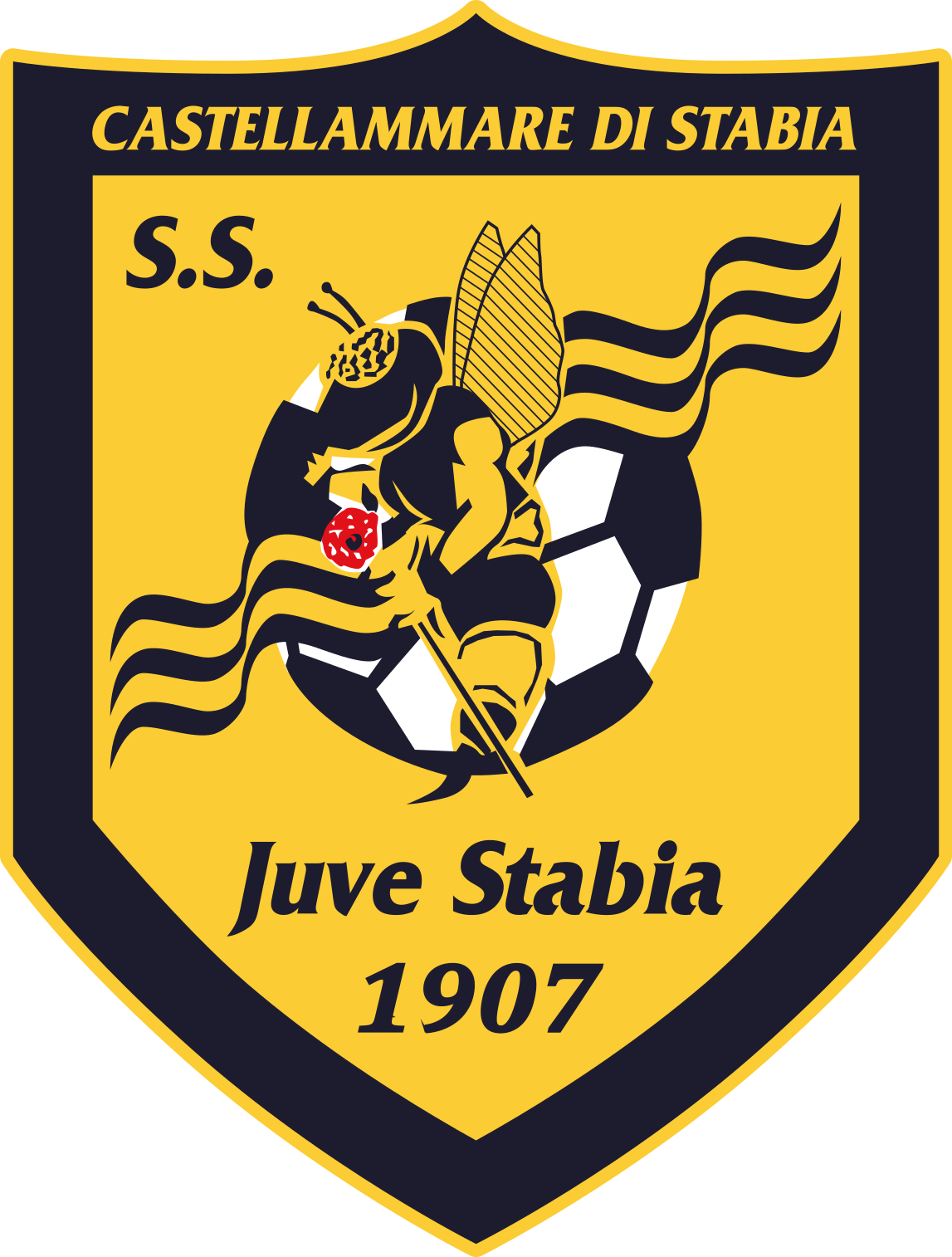 sta icon