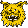 Ilves Tampere