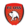 oss icon