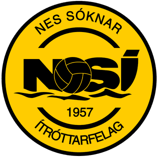 nsi icon