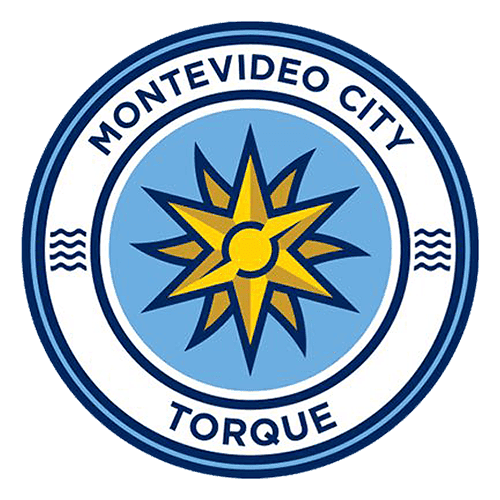 tor icon