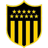 pen icon