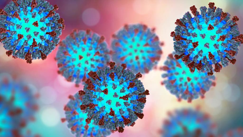 Measles cases in U.S. in 2026? card icon