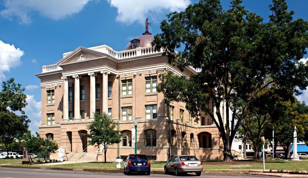 icon for Will Steven Snell win the 2026 Williamson County Judge election?