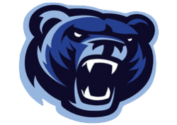 bak icon