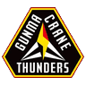 gun icon
