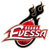 osa icon