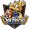 sea icon
