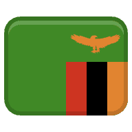 zmb icon